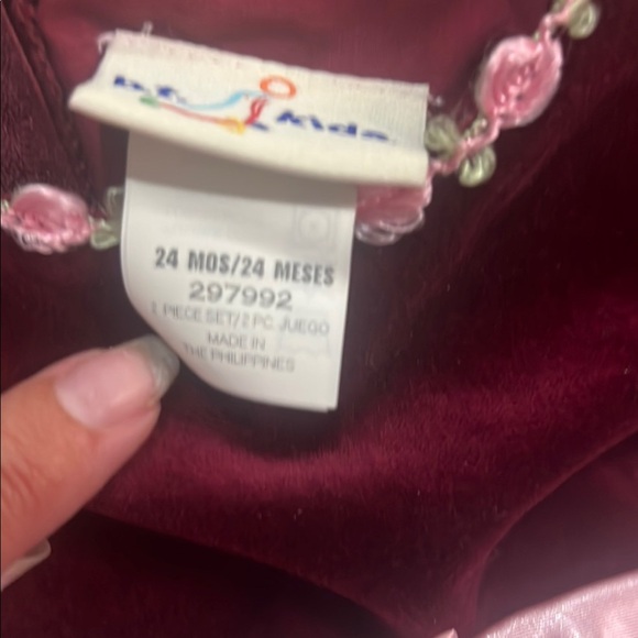 Vintage Dress Baby Toddler  Pink Maroon Roses Velvet Tulle Girl Formal Easter - Picture 10 of 11